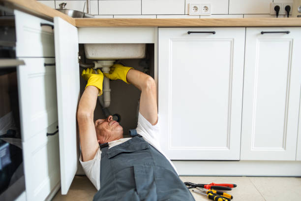 Best Plumbing Services Near Me  in Dayton, NV
