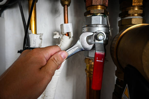 Best Plumbing Services Near Me  in Dayton, NV